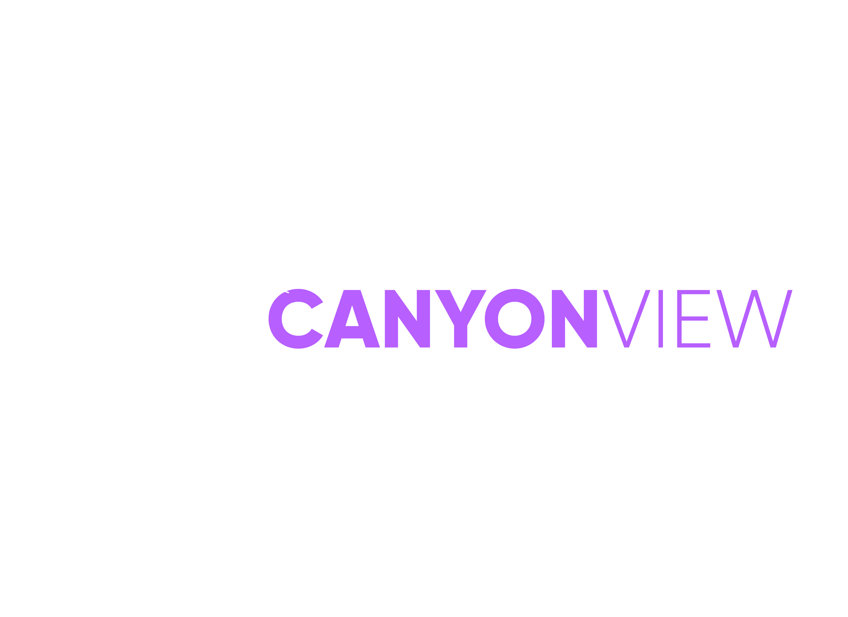 Canyon View Tax and Accounting logo