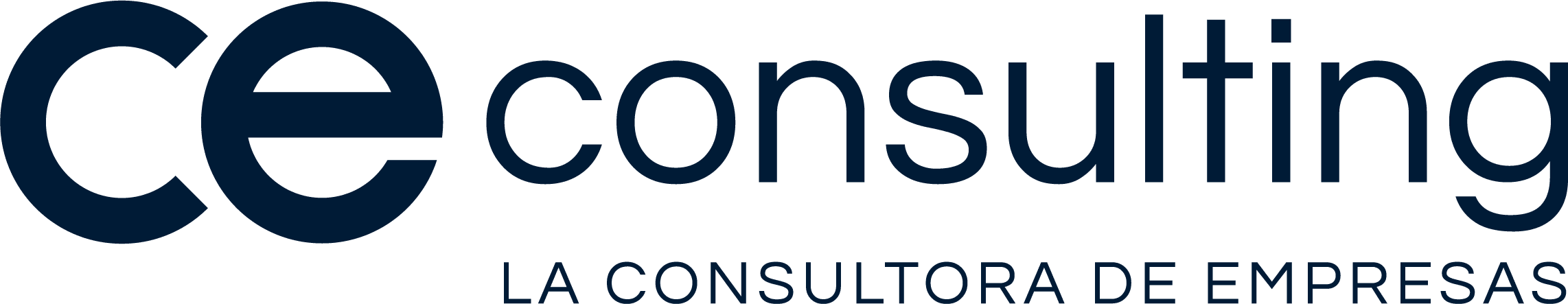 CE Consulting logo